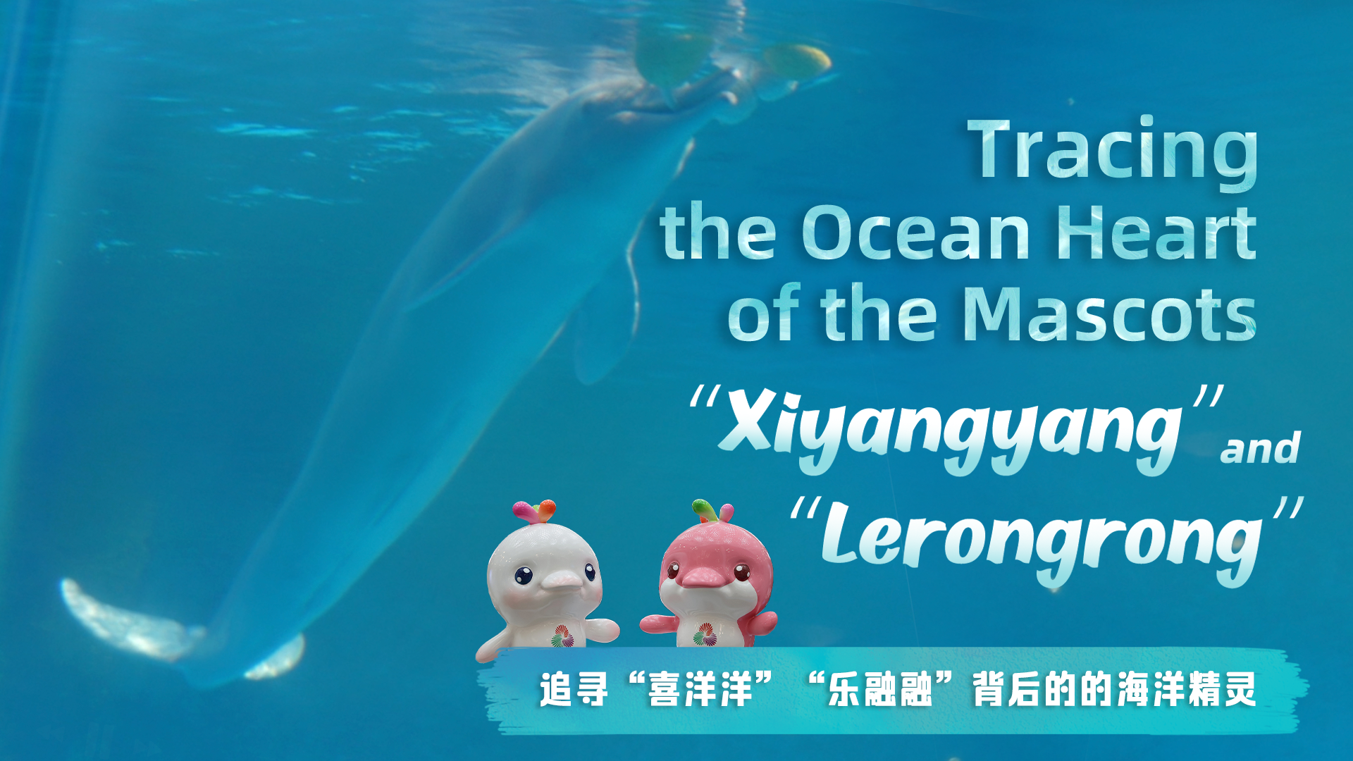 Tracing the ocean heart of the mascots 'Xiyangyang' and 'Lerongrong'