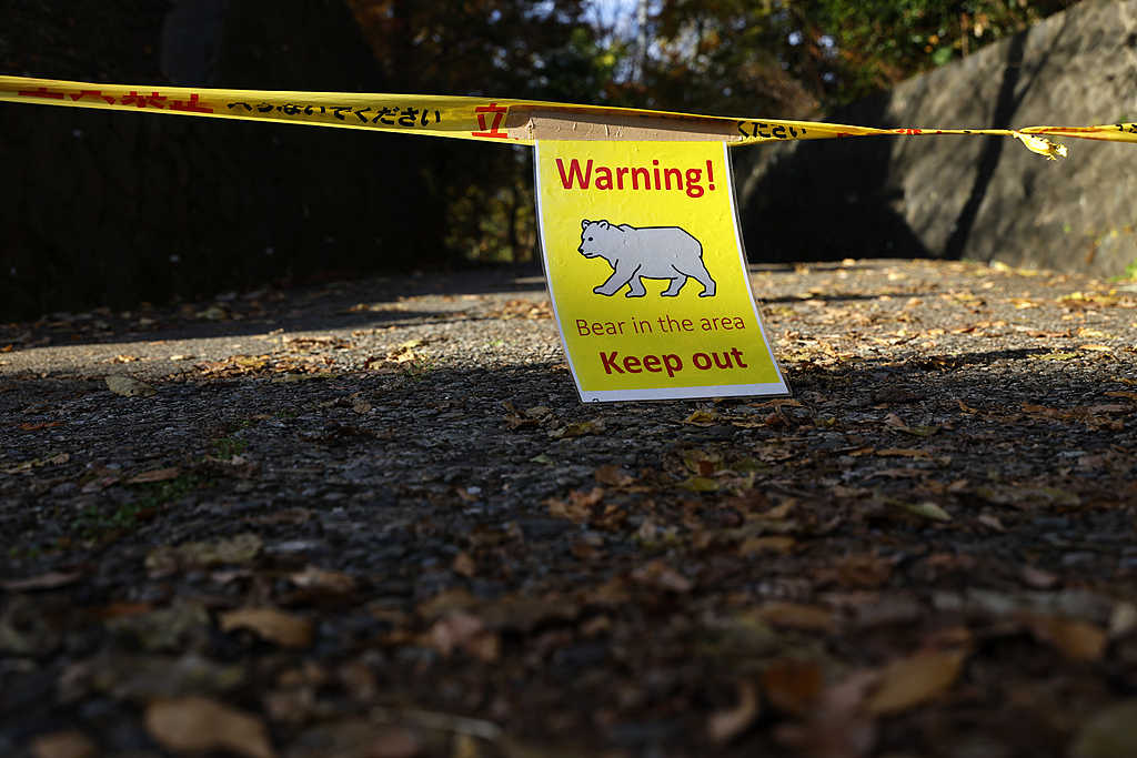 A warning is seen at Senshu Park, where bear sightings have led to restricted access in Akita, Akita Prefecture, northeastern Japan, November 13, 2025. /VCG