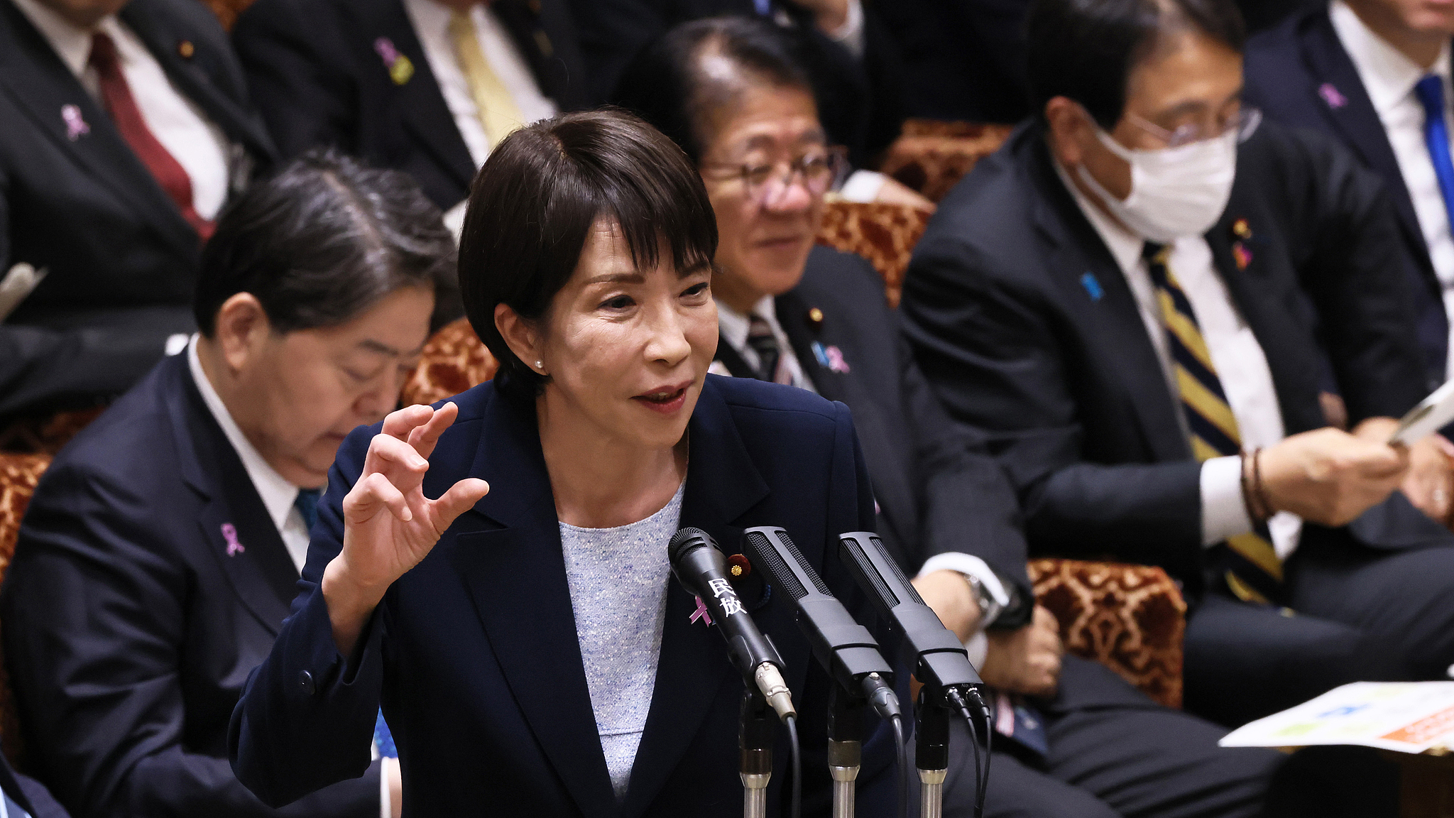 Hundreds call for Japan's Sanae Takaichi to step down