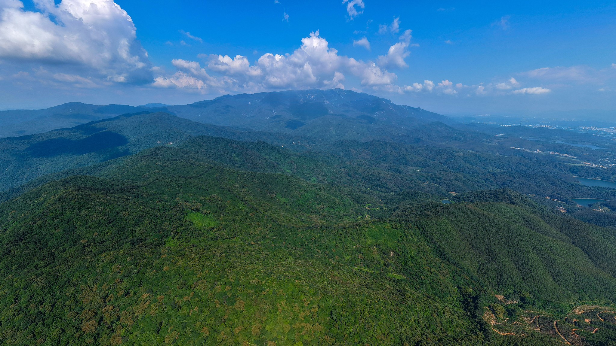 Live: Embrace the green of Luofu Mountain