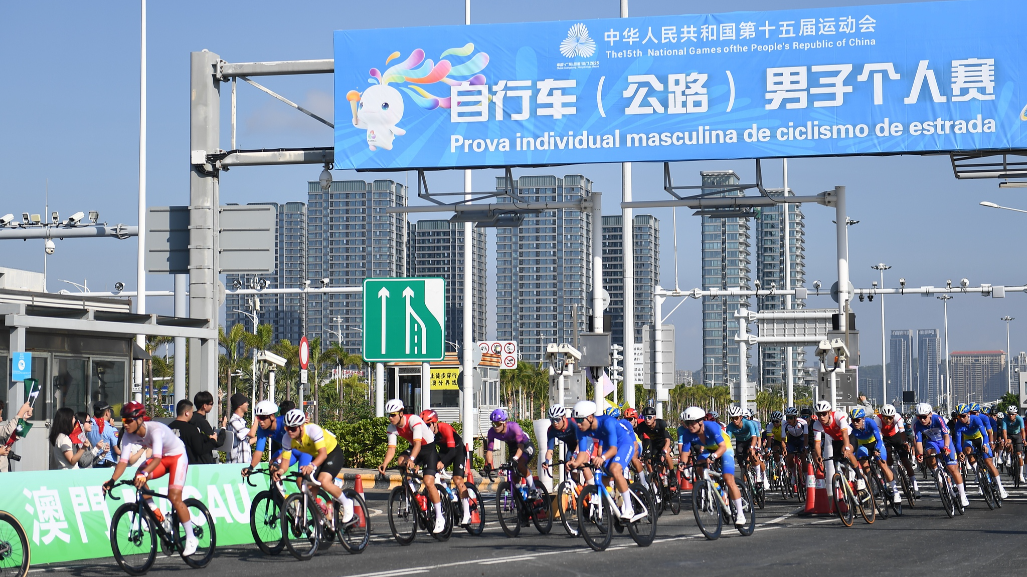 Cyclists in the men's individual road cycling event at the 15th National Games in Shenzhen, Guangdong Province, southern China, November 8, 2025. /VCG