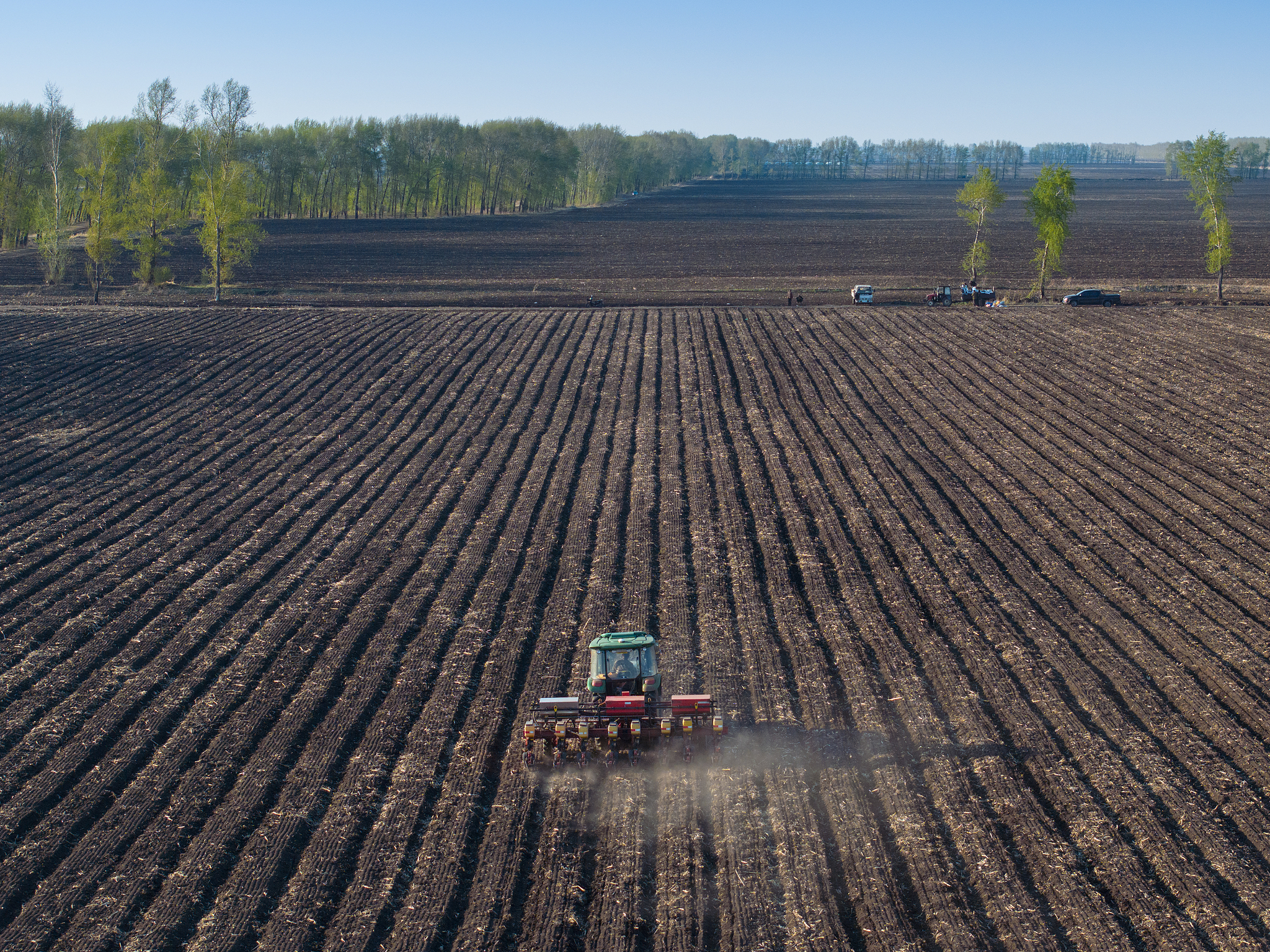 Tanaman kering telah ditanam sepenuhnya di Ladang Youyi di Kota Shuangyashan, Provinsi Heilongjiang, Tiongkok timur laut, pada 1 Mei 2024, dan tanah hitam yang luas akan segera ditutupi dengan tanaman hijau subur. /VCG