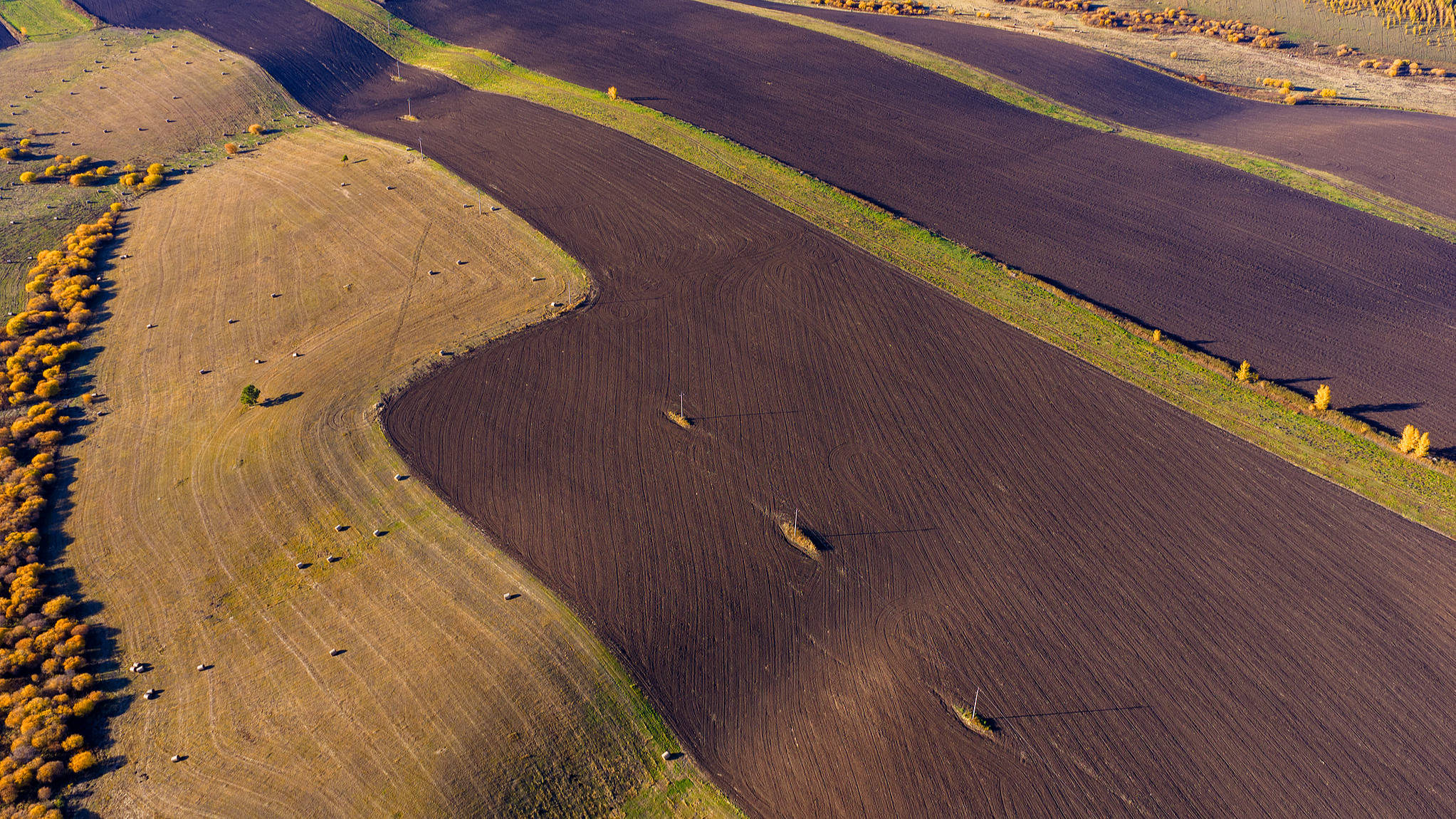 China's black soil: Securing the future of food