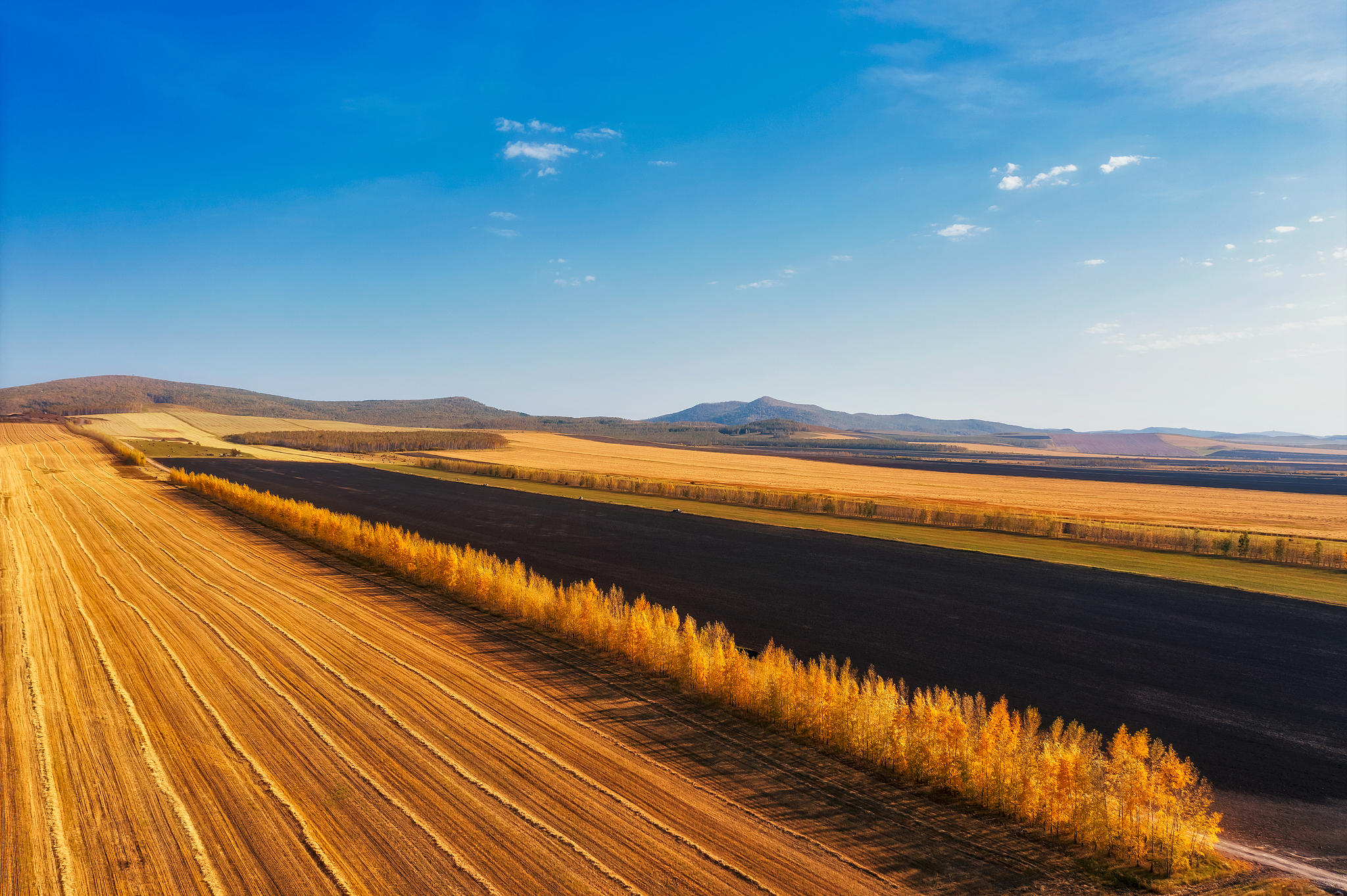 Tanah hitam yang meluas di Hulun Buir, Daerah Otonomi Mongolia Dalam, Tiongkok utara, 28 September 2025. /VCG