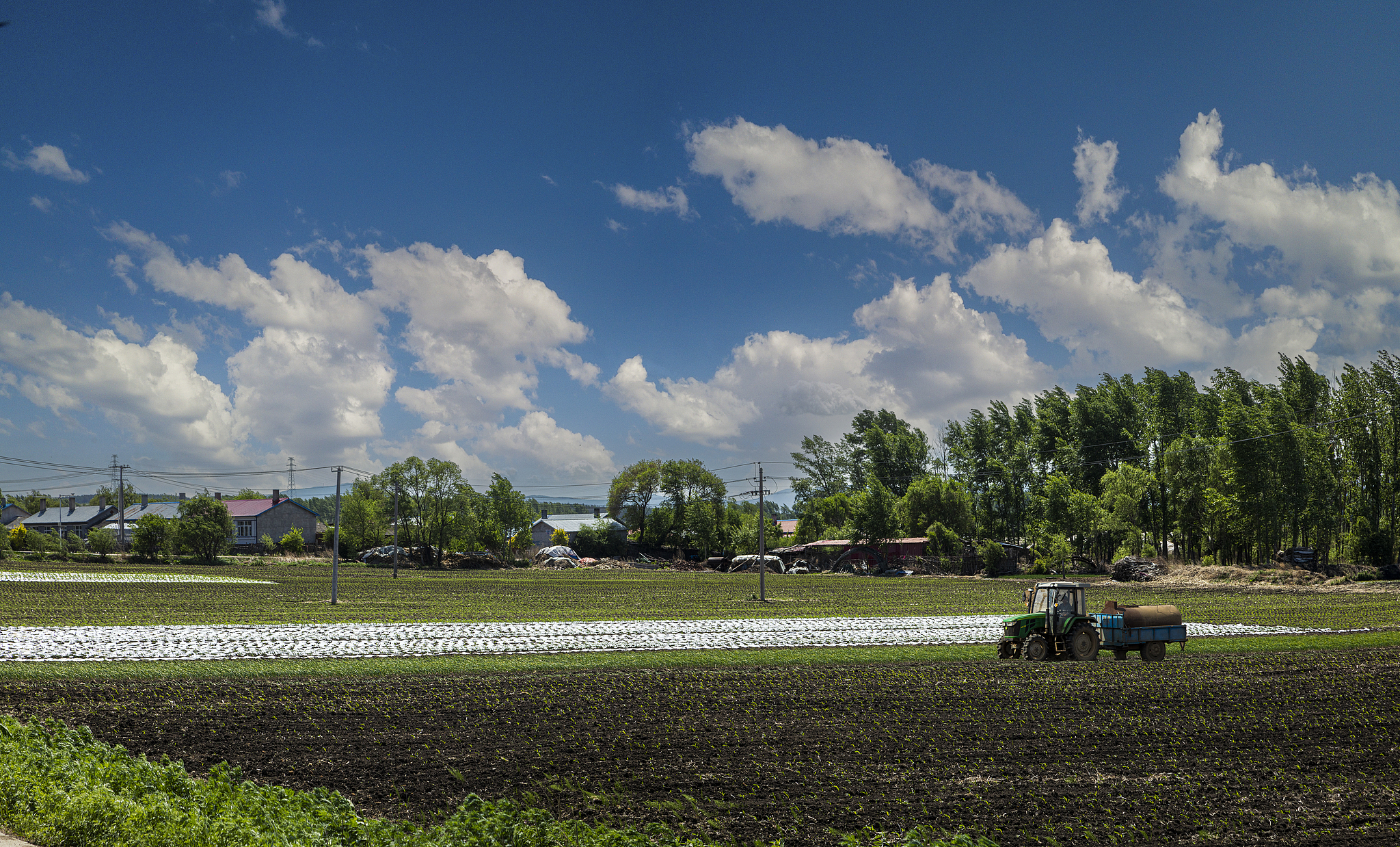 Petani membajak tanah hitam di Kota Jiamusi, Provinsi Heilongjiang, Tiongkok timur laut, 27 Mei 2023. /VCG