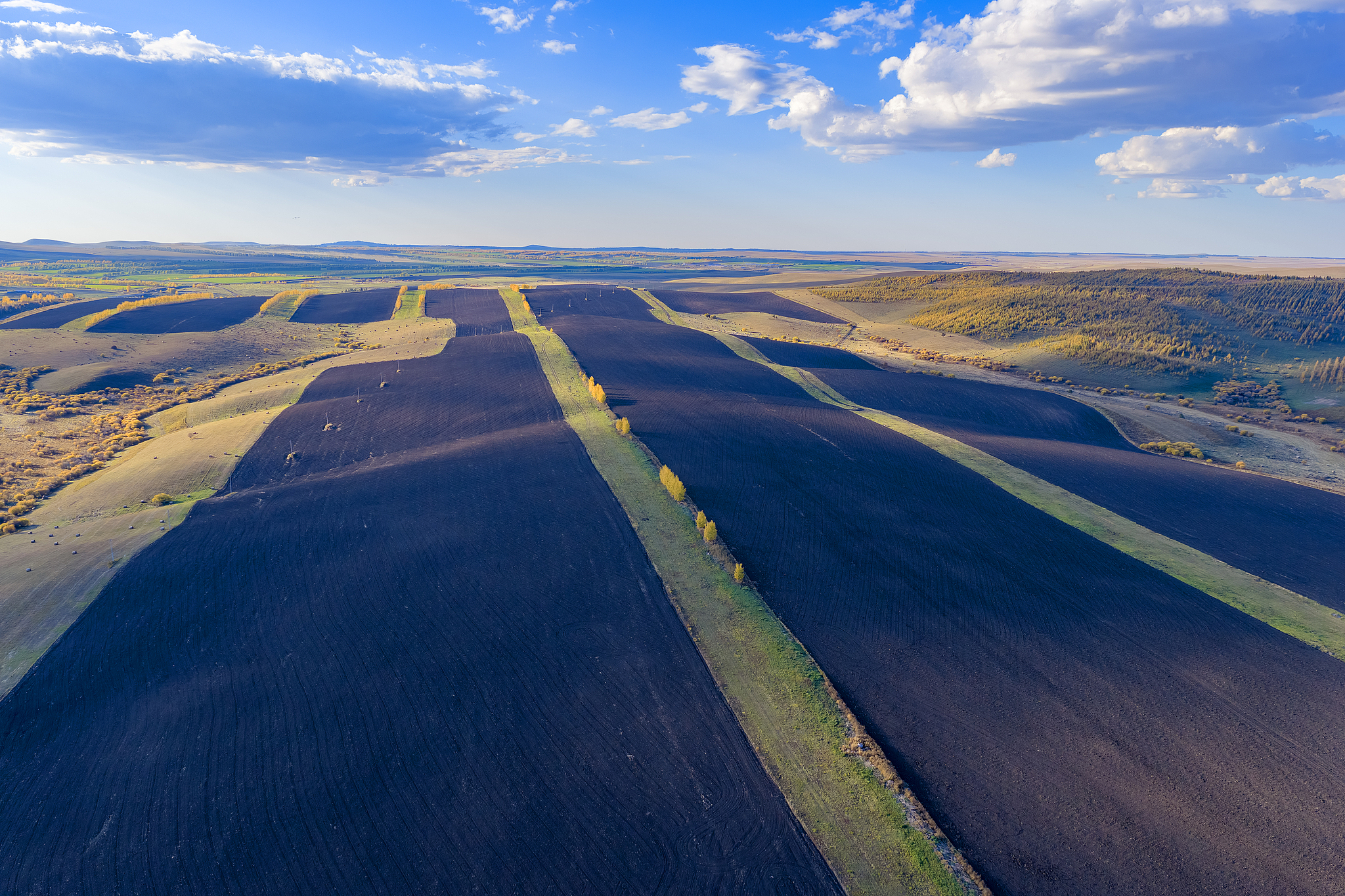 Tanah hitam yang meluas di Hulun Buir, Daerah Otonomi Mongolia Dalam, Tiongkok utara, 28 September 2025. /VCG
