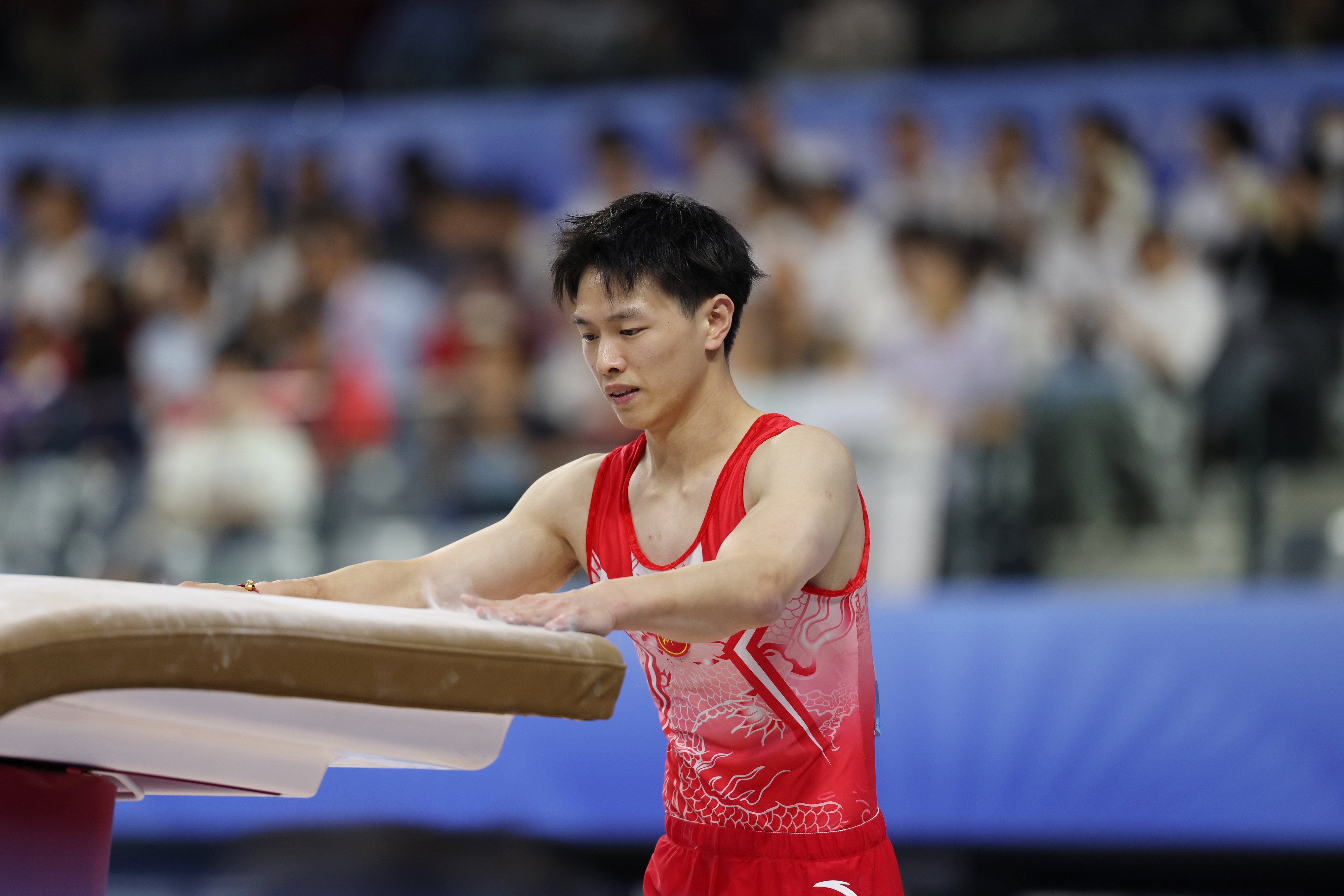 Zhejiang's Chen Yilu claimed gold in the men's vault at 15th National Games in Guangdong, China, November 17, 2025. /VCG