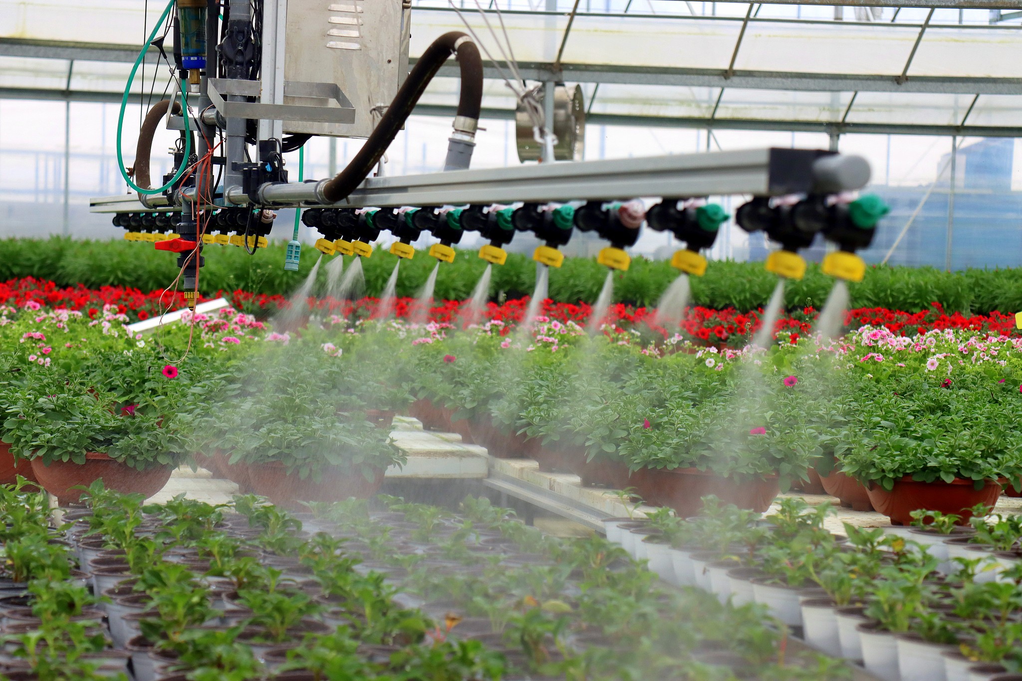 Automatic watering system irrigating seedlings of vegetables and flowers in a smart nursery factory in Yichang, Hubei Province, China, March 16, 2024. /VCG