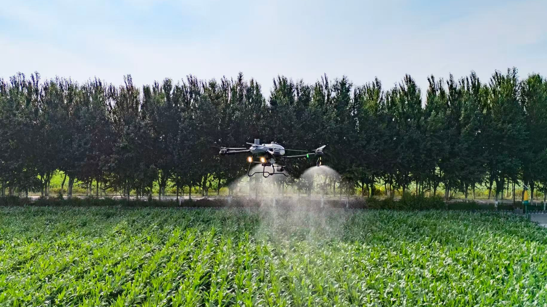 Smart farming fuels China's bountiful harvest