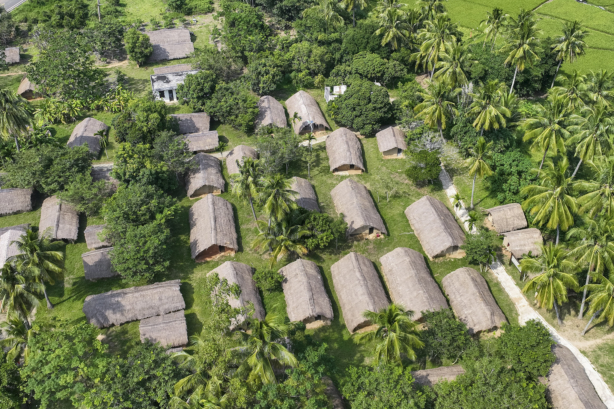 A view of Baicha Village in Dongfang City, Hainan Province, China, November 1, 2022. /CFP