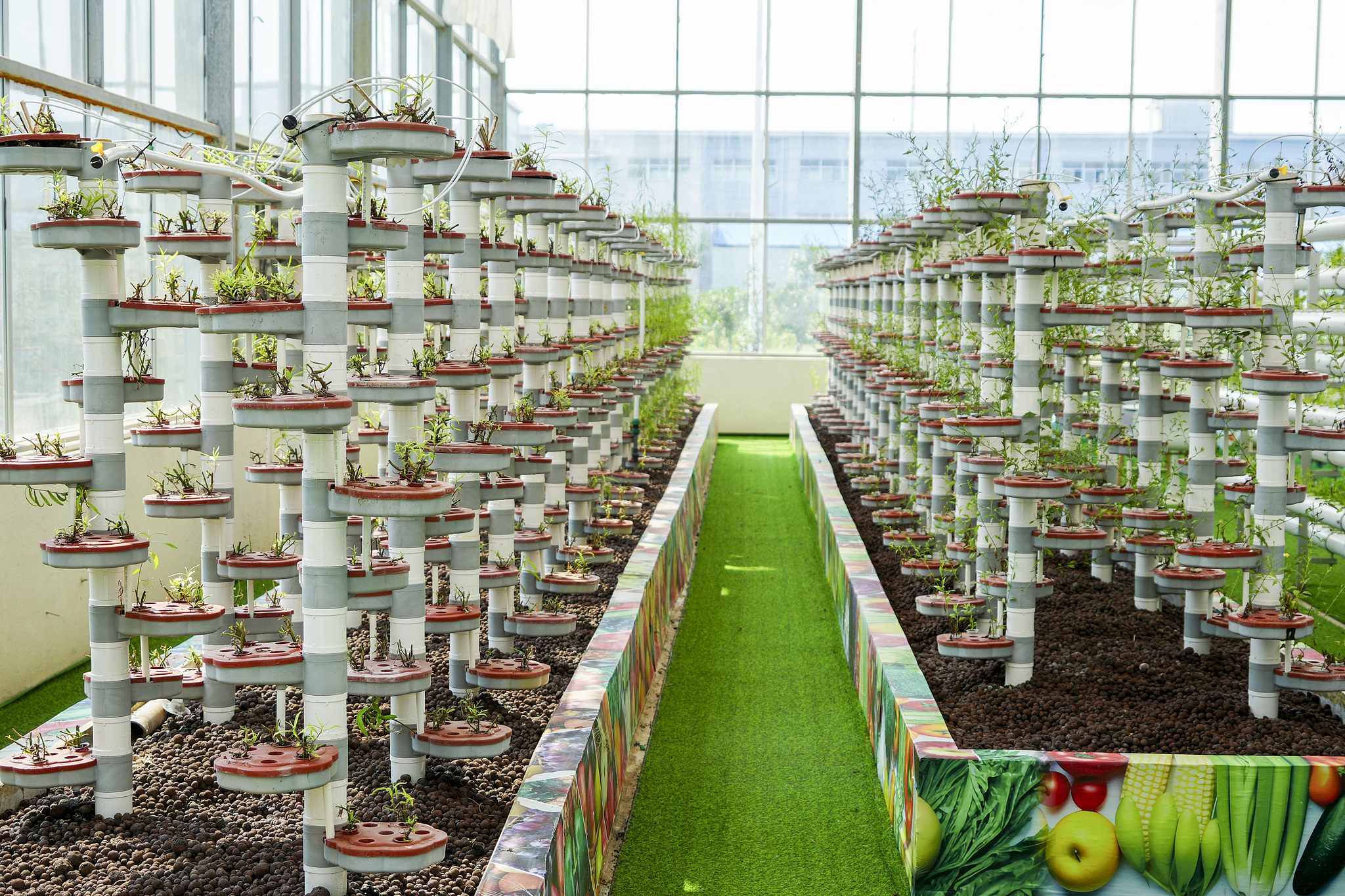 Seeds of strength: China's path to modern farming