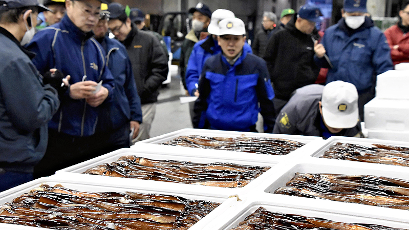 Japanese fisheries voice export concerns, urge government explanation