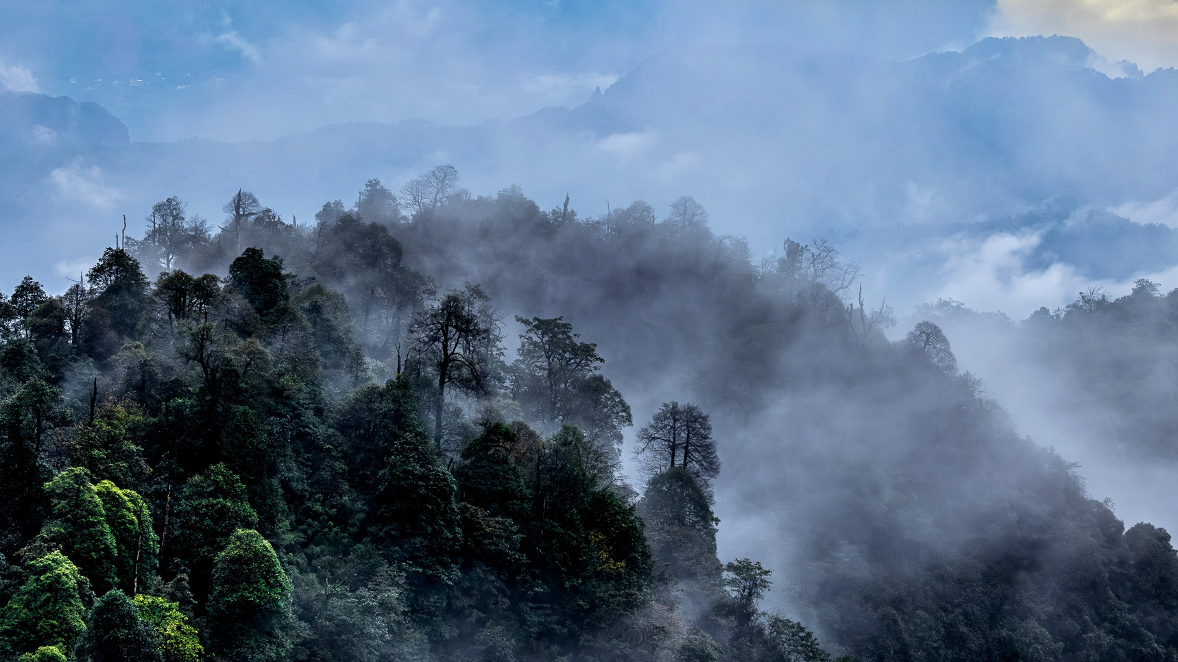 Laojunshan: A window into China's wild southwest