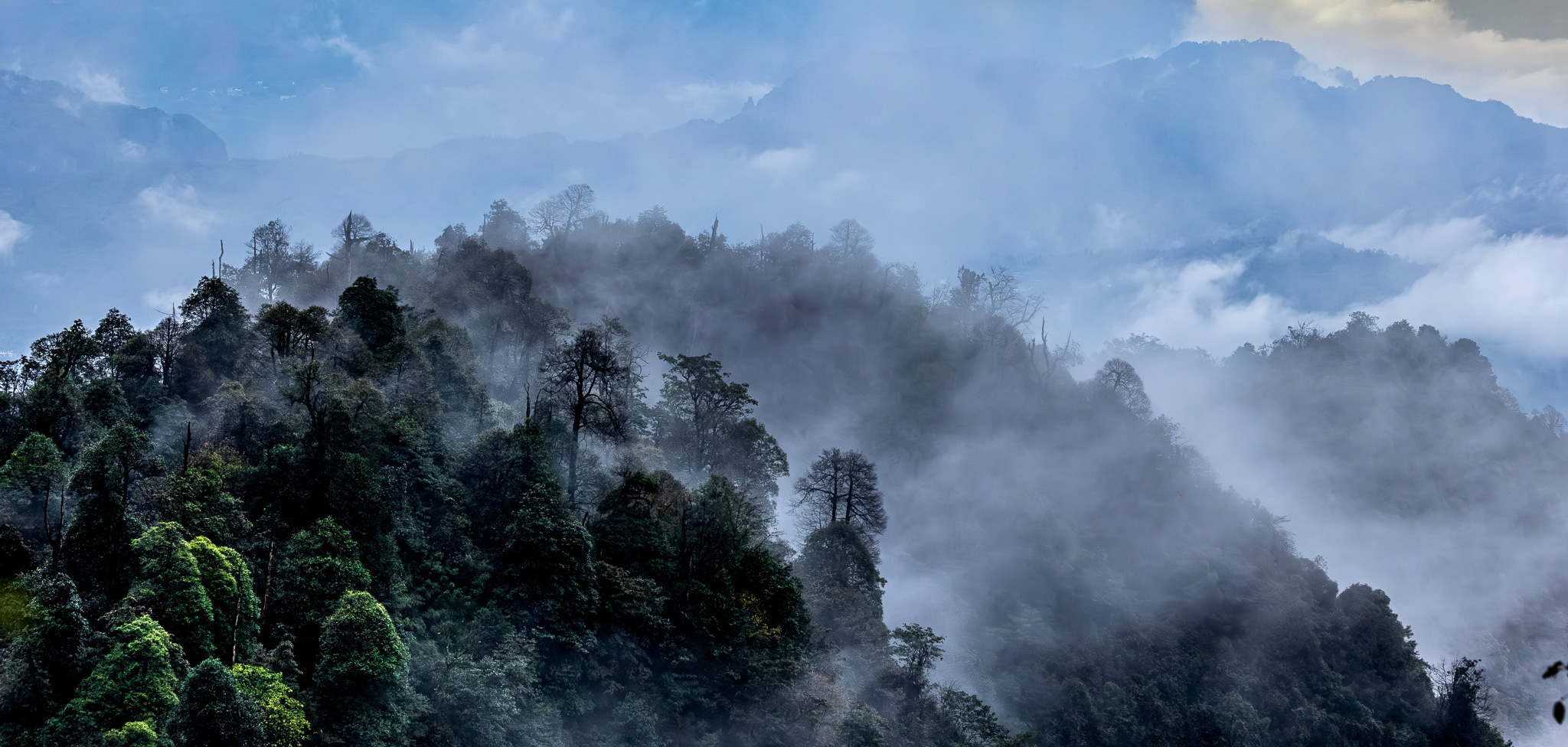 Credit: Sichuan Laojunshan National Nature Reserve 