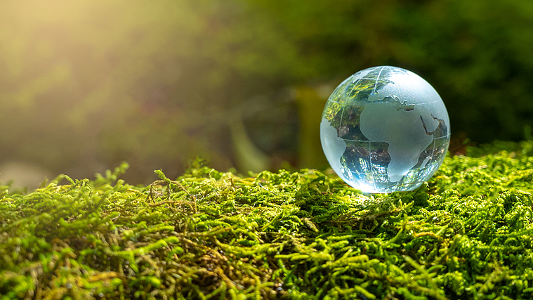 CGTN poll: World public urges action on climate governance