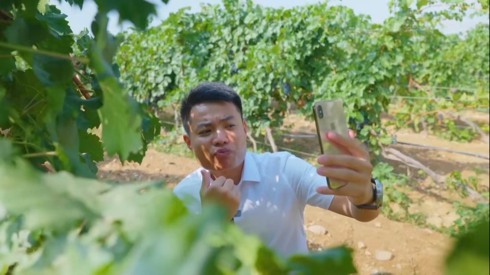 China's Minning Town: A model of coordinated regional development