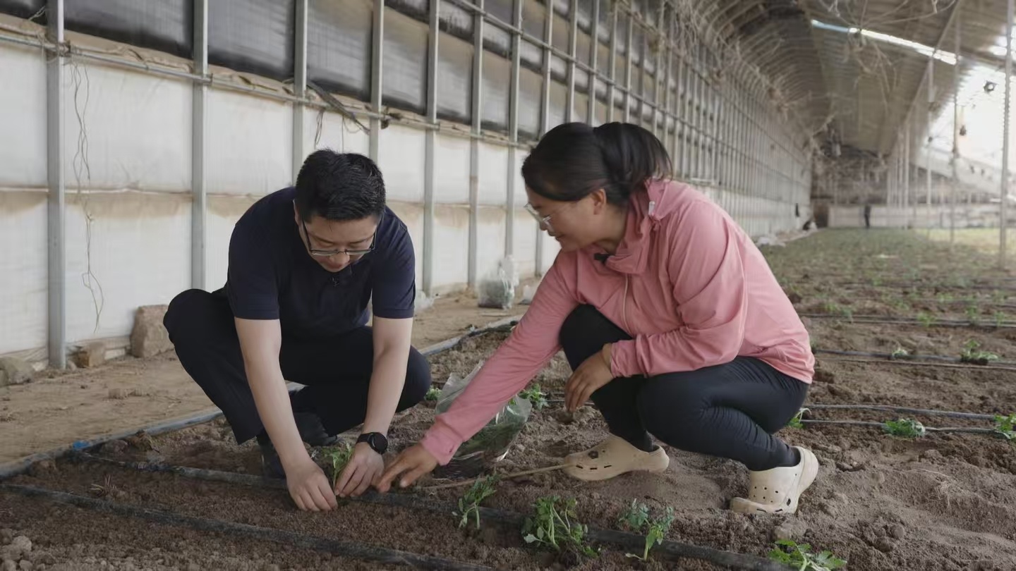 China's Minning Town: A model of coordinated regional development