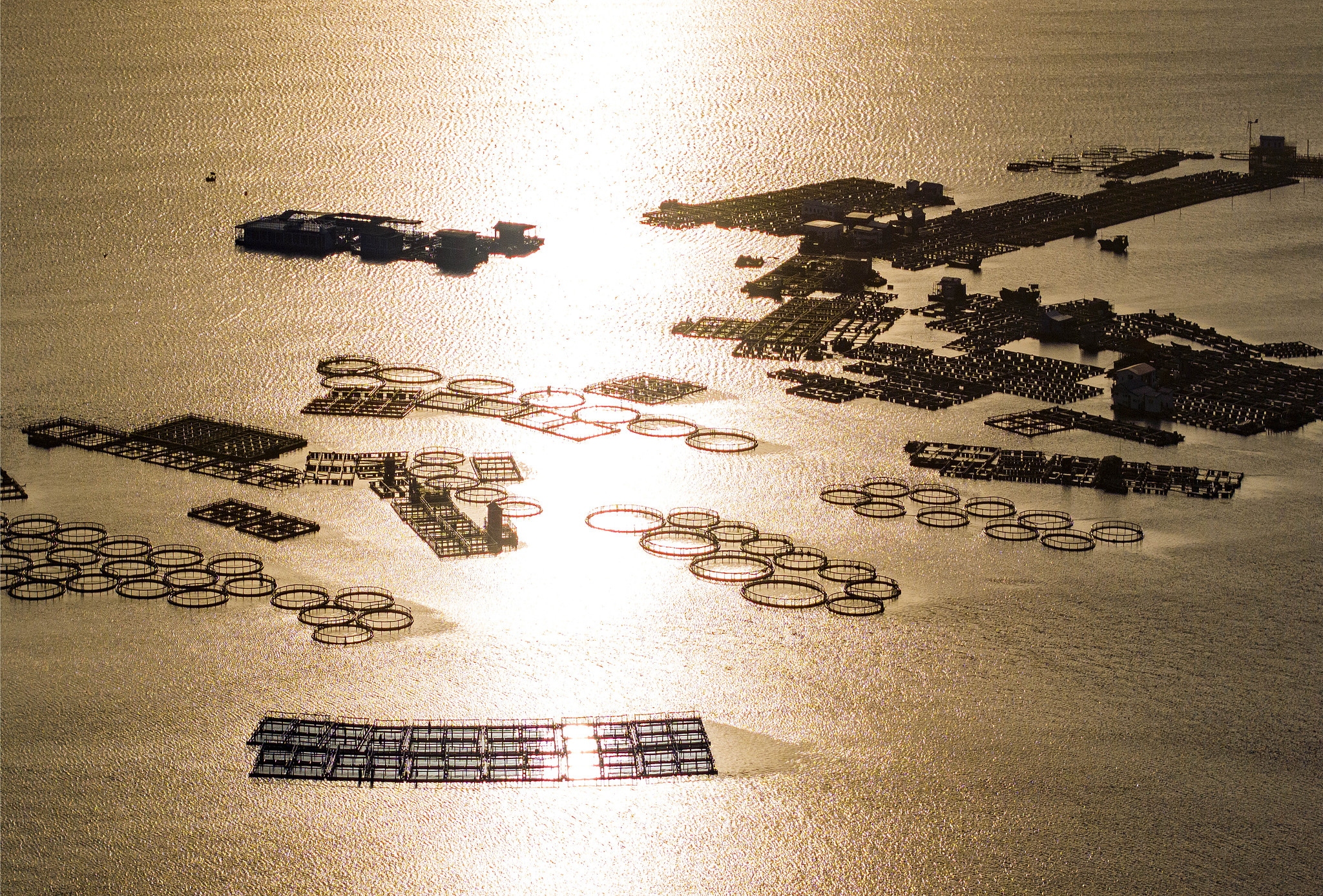A floating village off the coast where the Tanka people live and work on fish breeding rafts, Lingshui Li Autonomous County, Hainan Province, November 18, 2023. /CFP