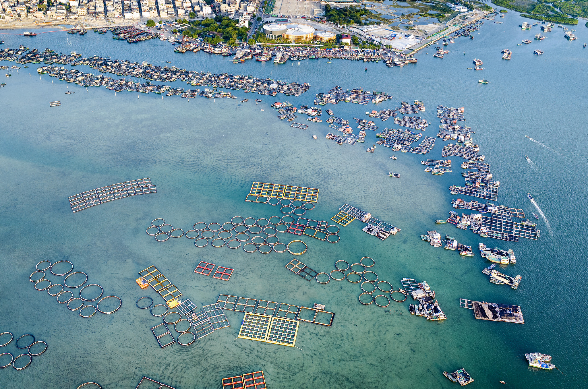 A floating village off the coast where the Tanka people live and work on fish breeding rafts, Lingshui Li Autonomous County, Hainan Province, November 18, 2023. /CFP
