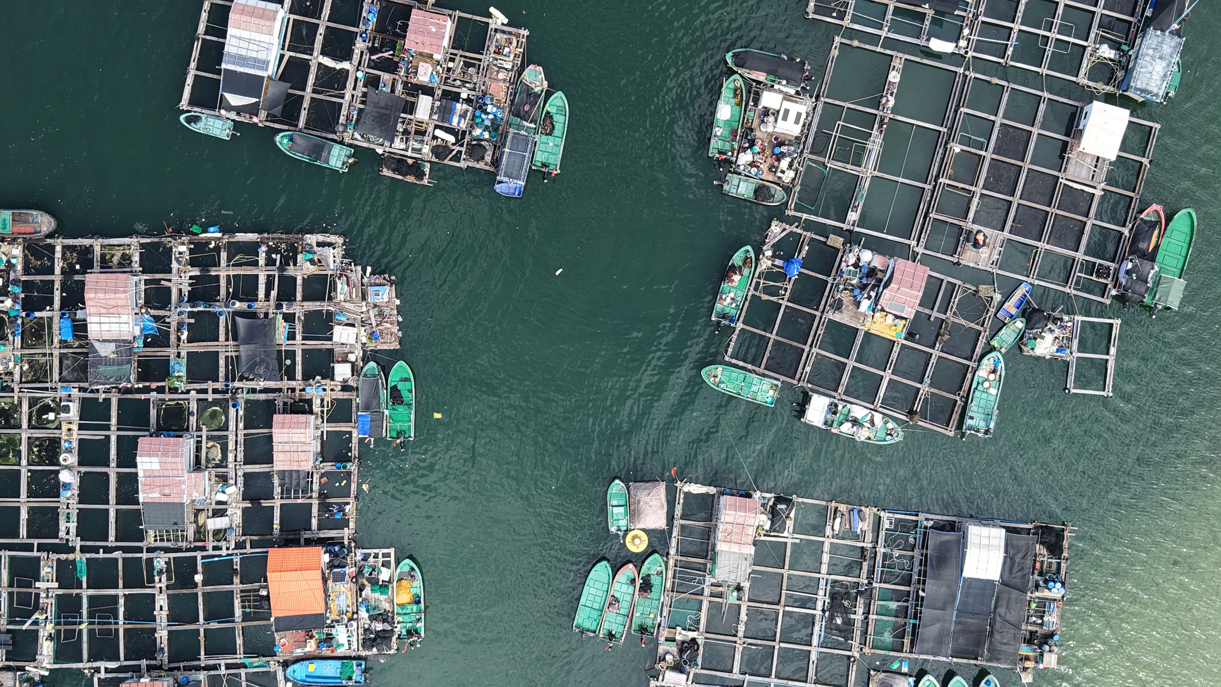 A floating village off the coast where the Tanka people live and work on fish breeding rafts, Lingshui Li Autonomous County, Hainan Province, November 20, 2025. Lu Yao/CGTN

