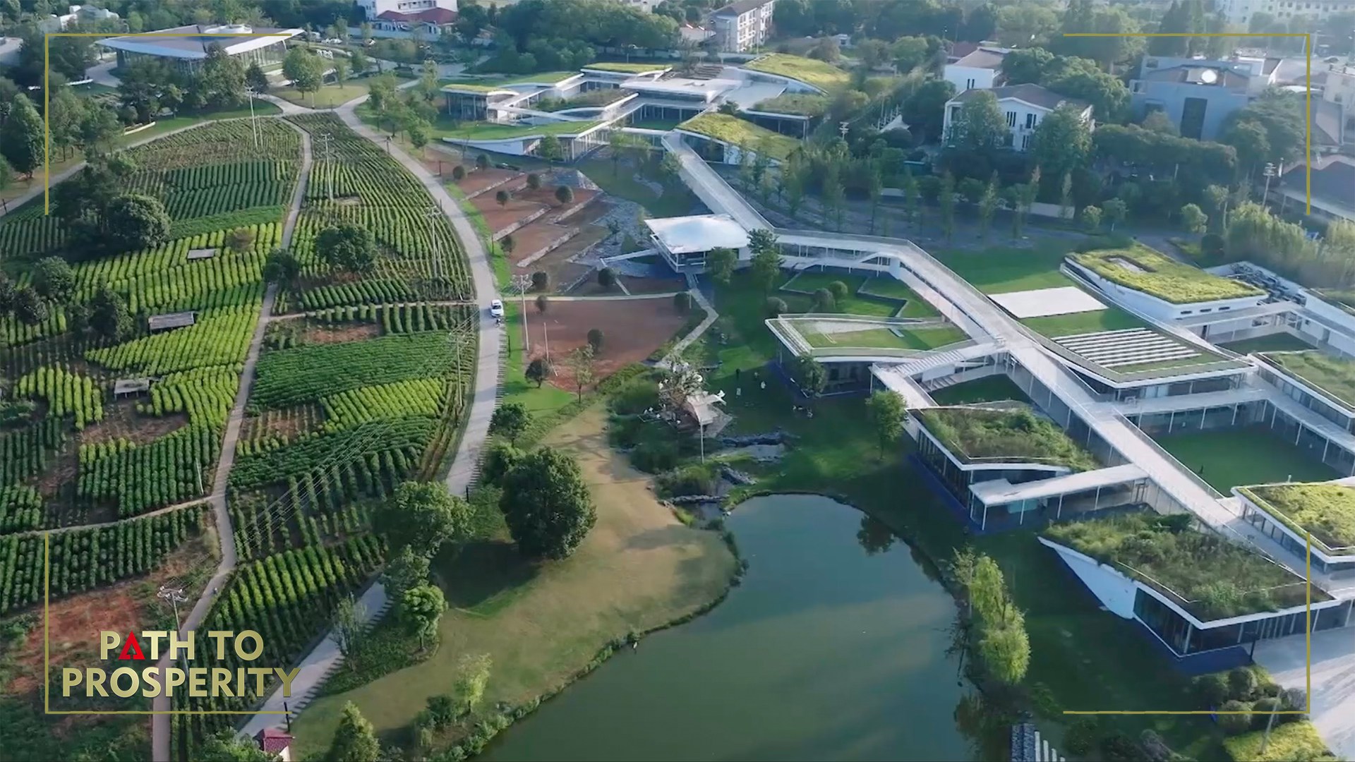 Anji County: Turning green into gold