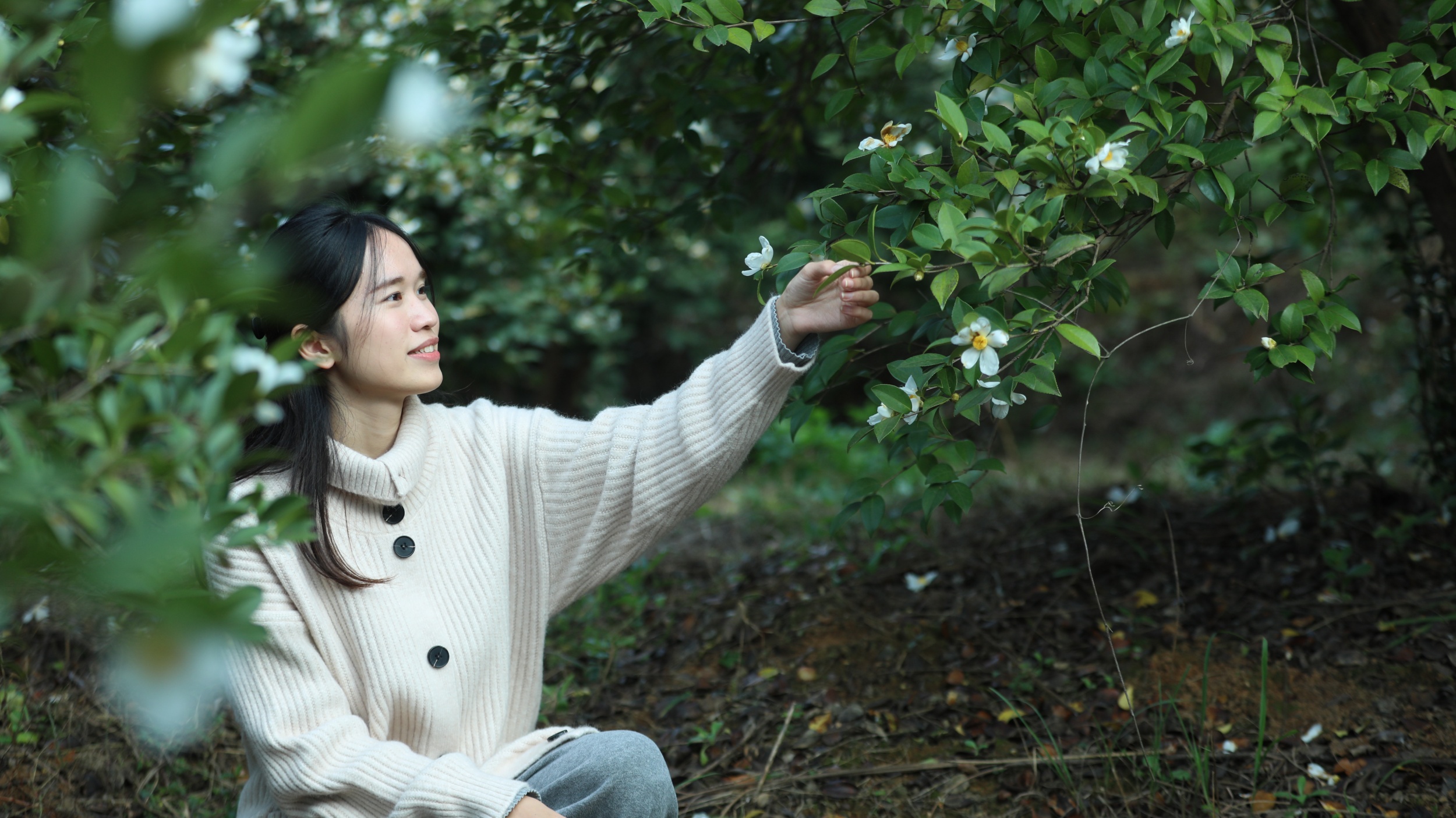 A tourist poses for a photo with Tea-oil camellia flowers in Yuping Dong Autonomous County of Tongren City, southwest China's Guizhou Province on November 12, 2025. /Tongren Media Convergence Center