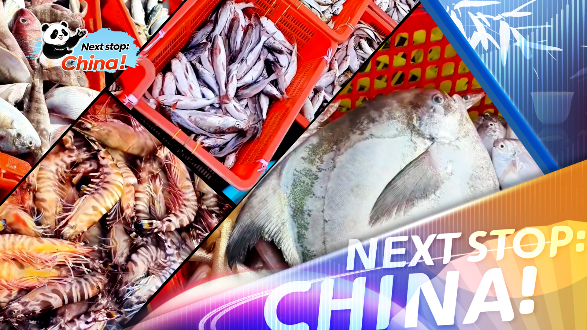 The lively fishing season of Rongshanliao Village in Haikou