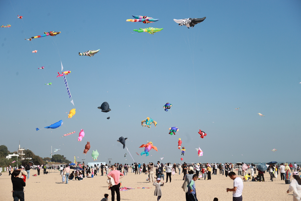 Citizens and tourists flew kites and enjoyed kite performances on the beach of Yefengzhai during the 2025 Cross-Straits (Xiamen) Kite Exchange Event in Xiamen, Fujian Province on November 23, 2025. /VCG 