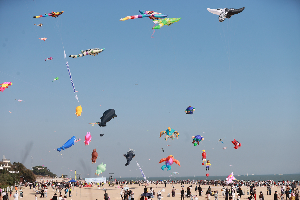 Citizens and tourists flew kites and enjoyed kite performances on the beach of Yefengzhai during the 2025 Cross-Straits (Xiamen) Kite Exchange Event in Xiamen, Fujian Province on November 23, 2025. /VCG 