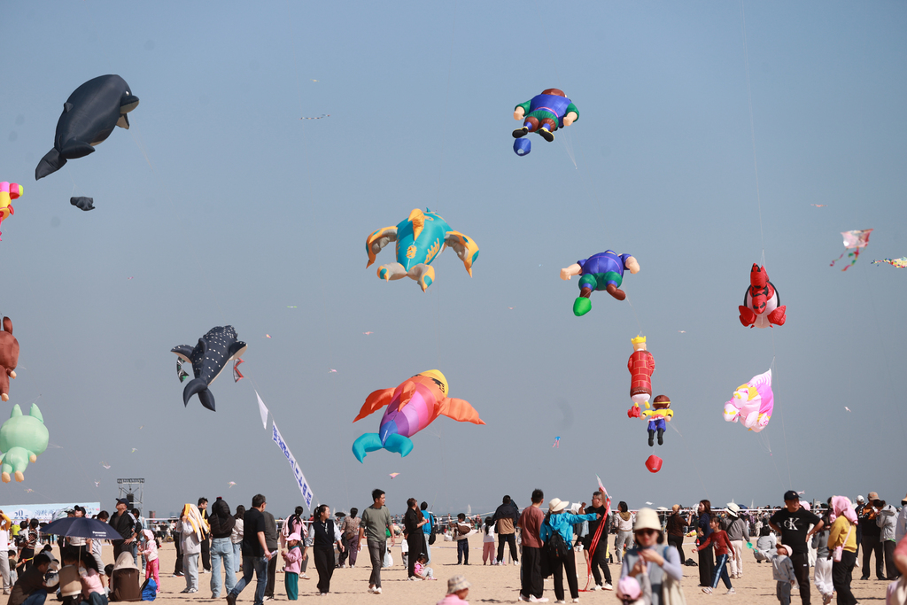 Citizens and tourists flew kites and enjoyed kite performances on the beach of Yefengzhai during the 2025 Cross-Straits (Xiamen) Kite Exchange Event in Xiamen, Fujian Province on November 23, 2025. /VCG 