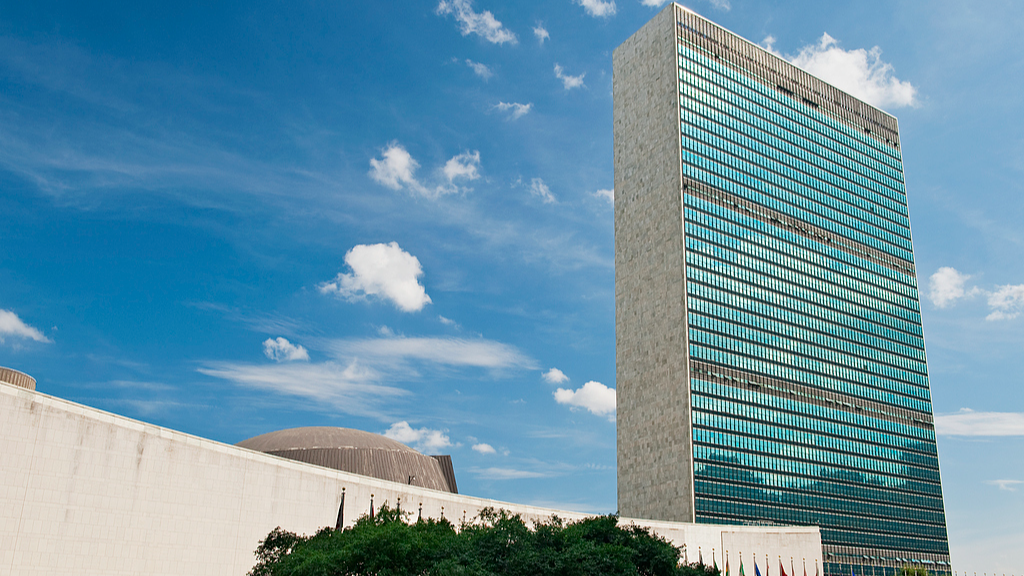 Xi sends message on Intl Day of Solidarity with Palestinian People