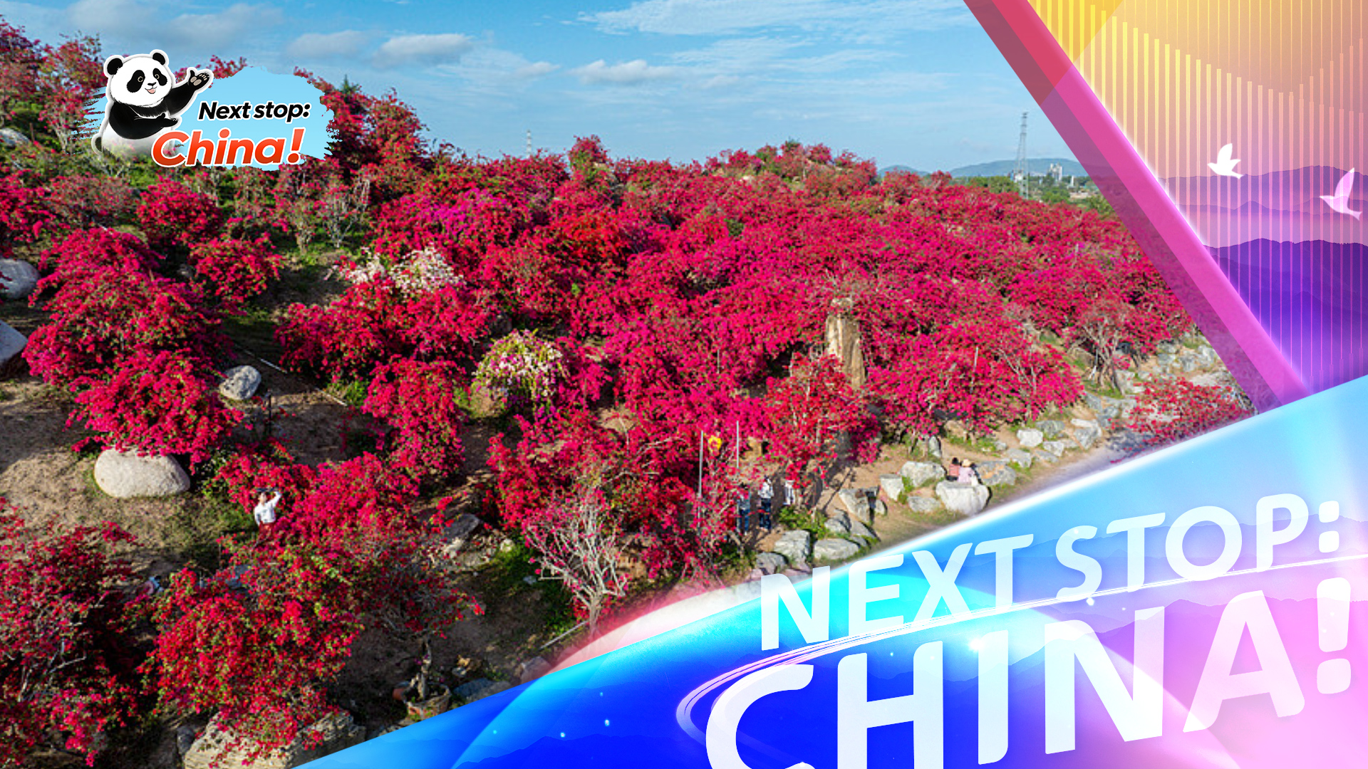 Hainan's Nanwan Flower Town: A real-life 'Monet Garden'