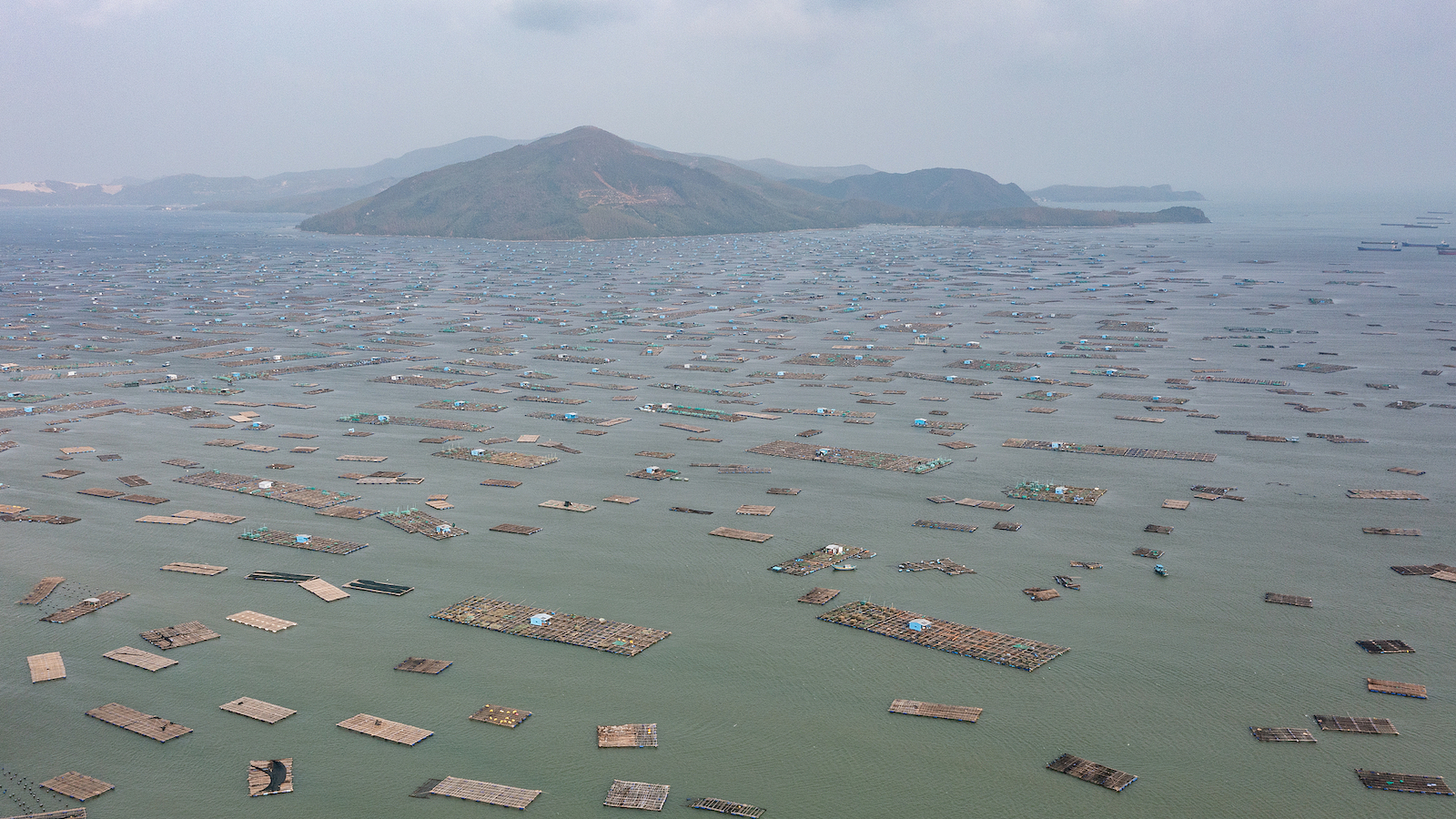 Vietnam sees unprecedented flooding in 50 years