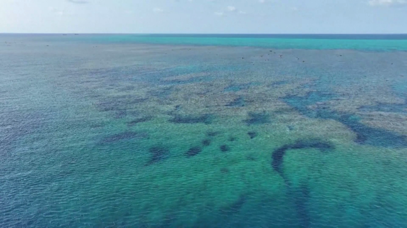 China releases report on ecological environment of Huangyan Dao waters