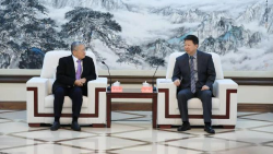 Mainland will not tolerate Japan's meddling in Taiwan, official says