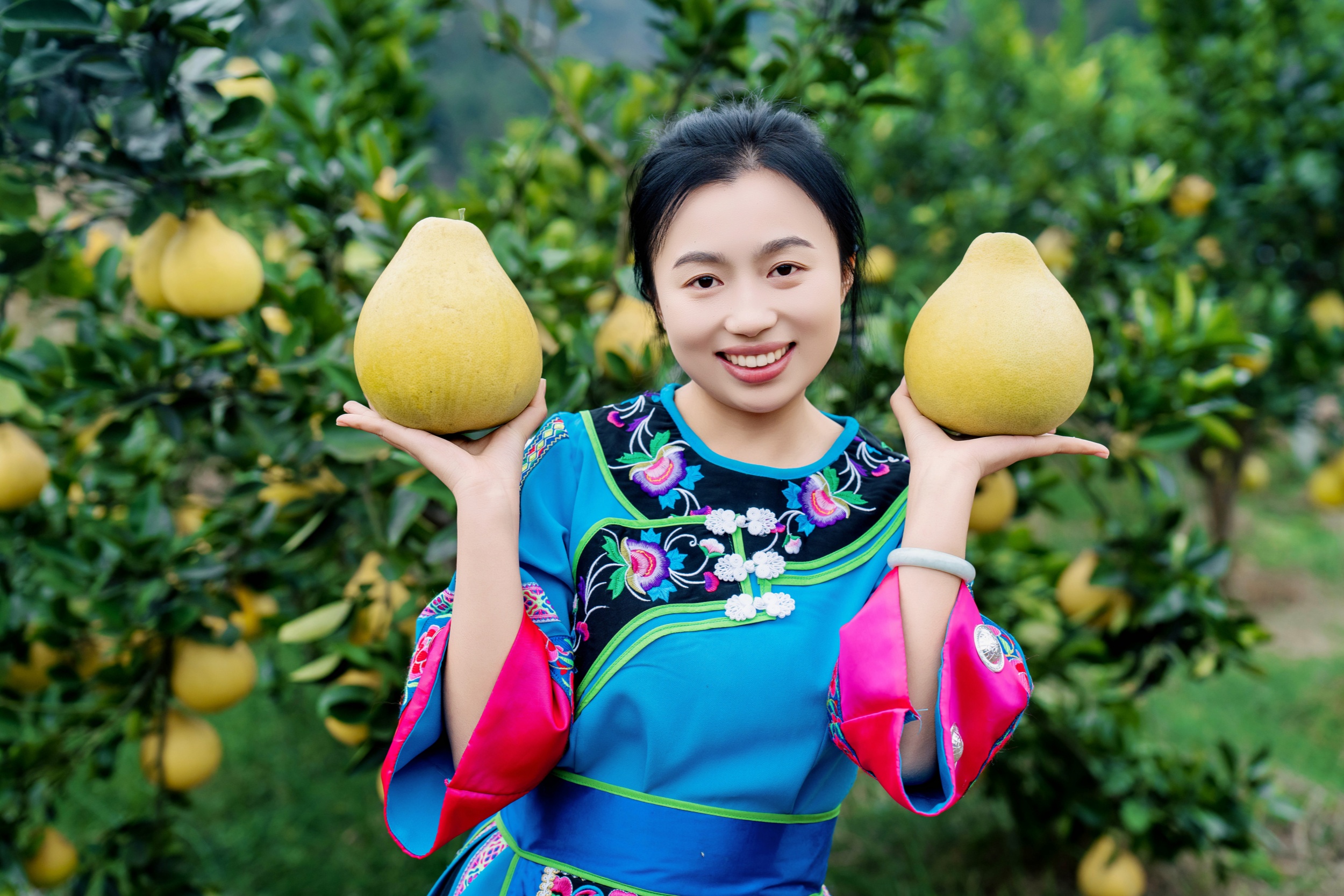 A local shows pomelos in Wanshan District of Tongren City, southwest China's Guizhou Province on November 5, 2025. /Tongren Convergence Media Center