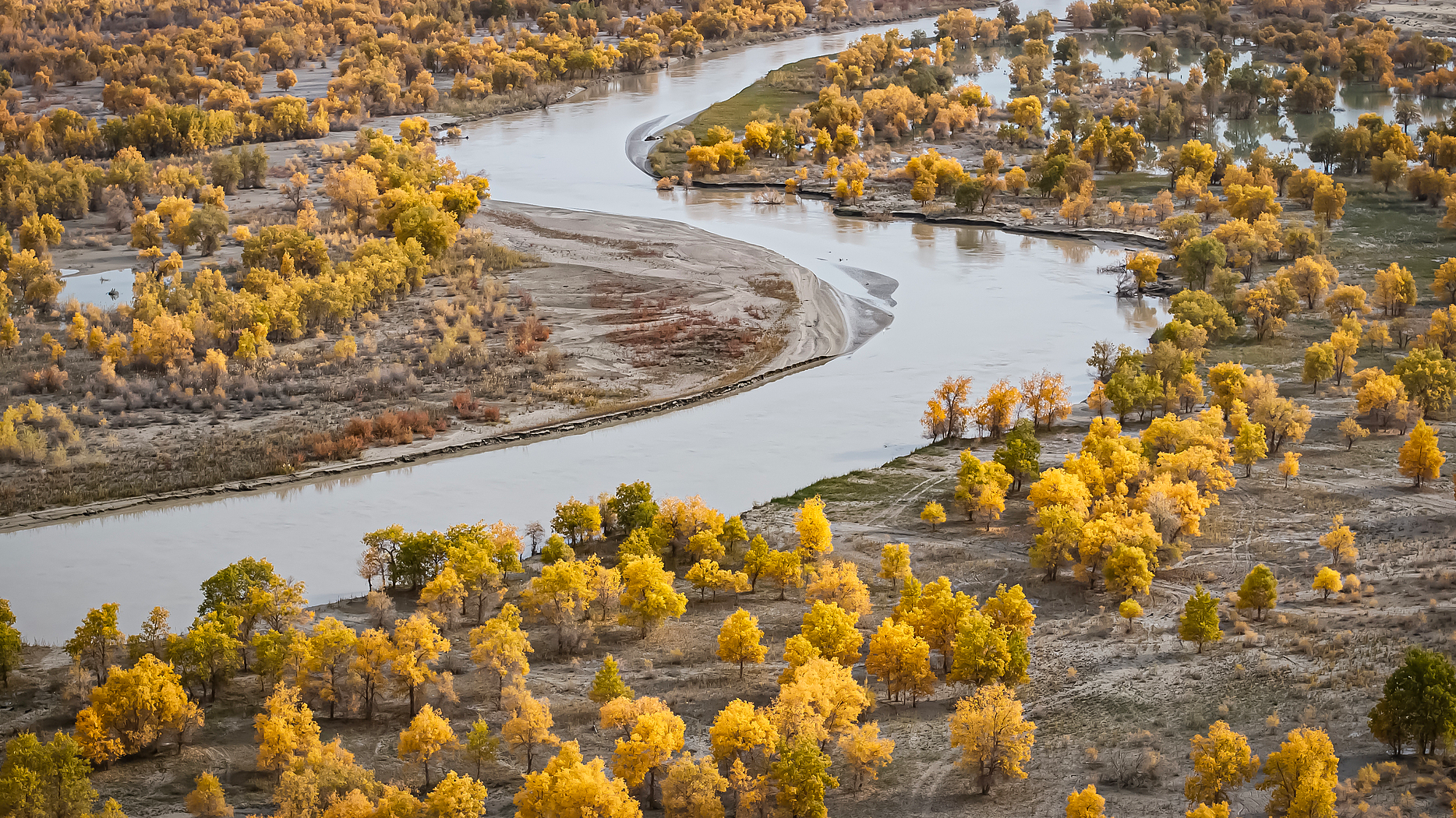 Live: Discover China's desert transition from barren sands to oasis
