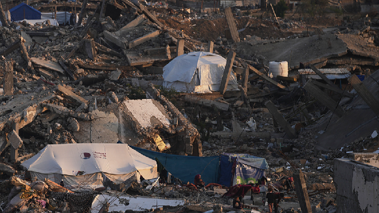 Two-state solution highlighted on International Day of Solidarity