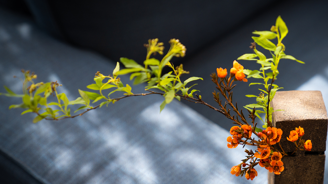 A journey into the subtle Chinese art of noticing