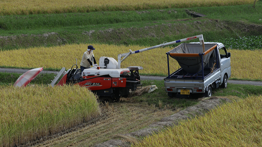 Japan's self-employed farmers see record decline