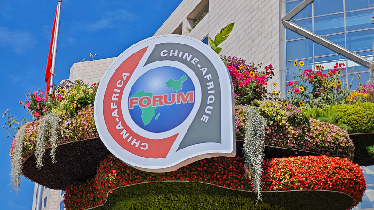 China-Africa relations: A new era of strategic partnership