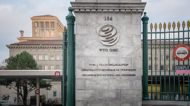 China urges WTO members to fulfill transparency obligations