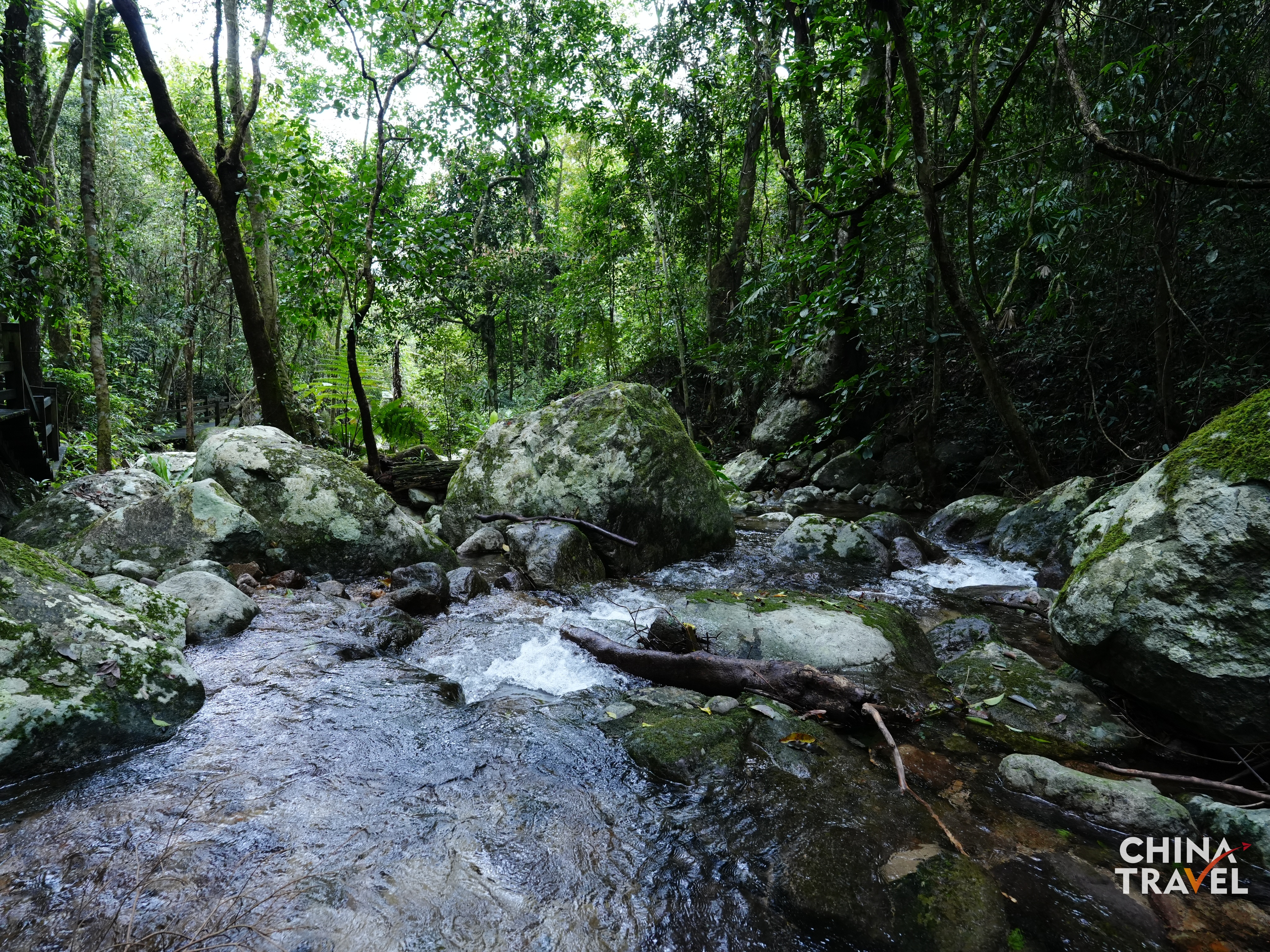 Rainforest in Wuzhishan, Hainan /CGTN