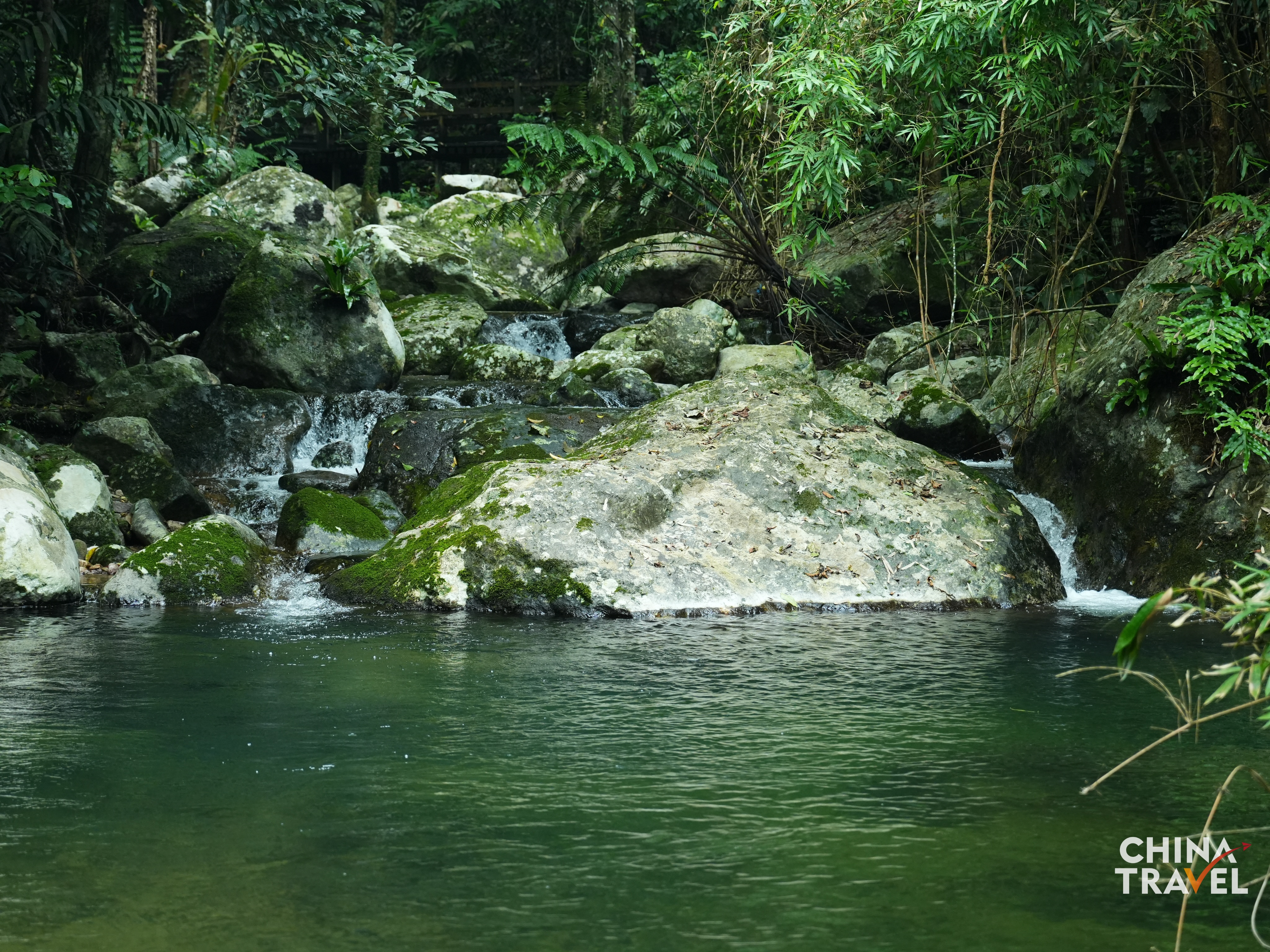Rainforest in Wuzhishan, Hainan /CGTN