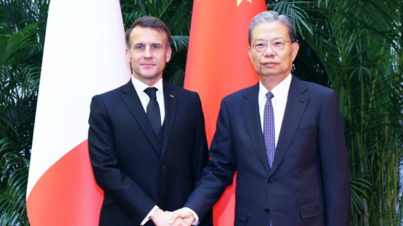 China's top legislator meets French president