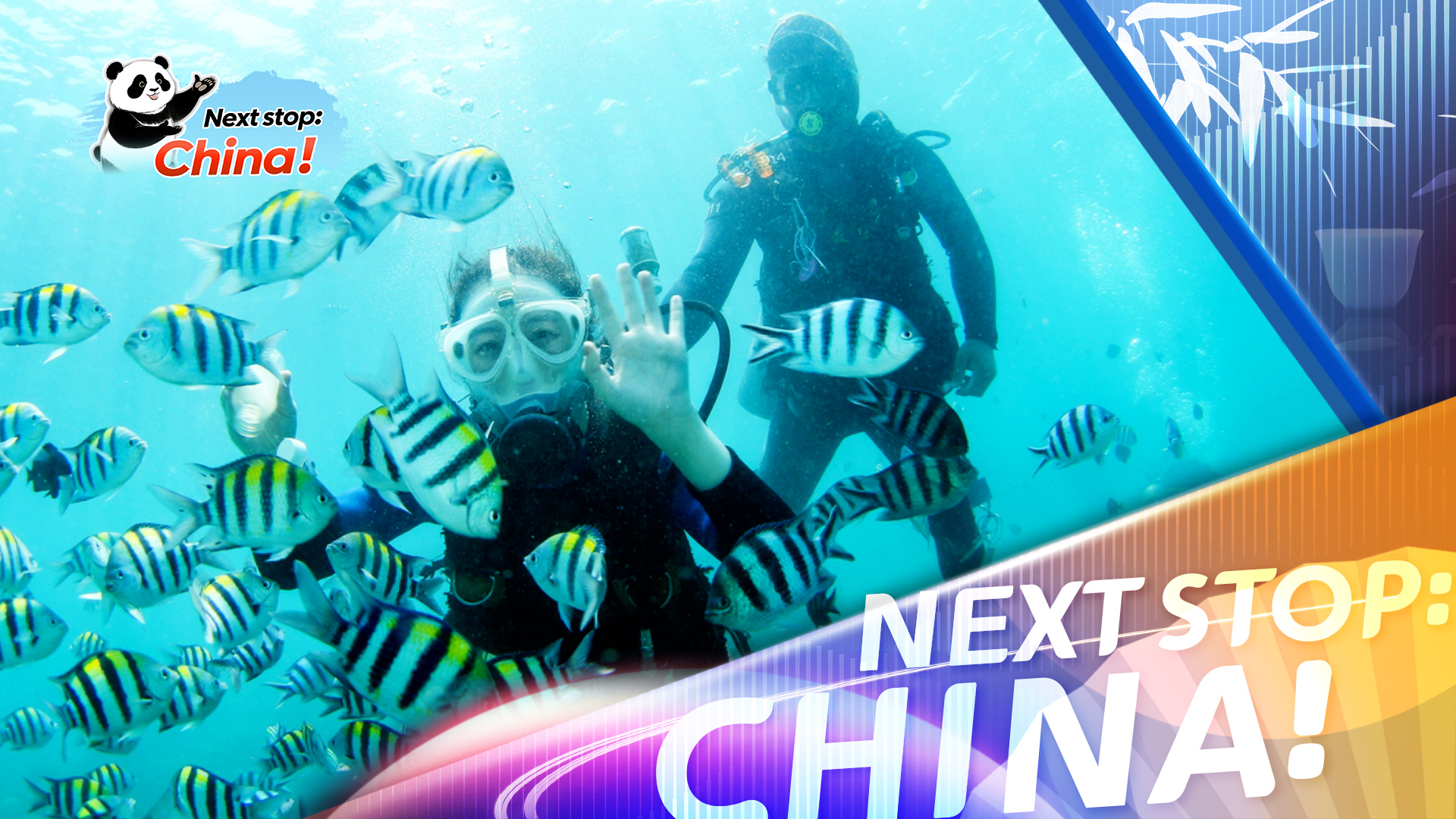 Sanya, a diving paradise beneath the waves