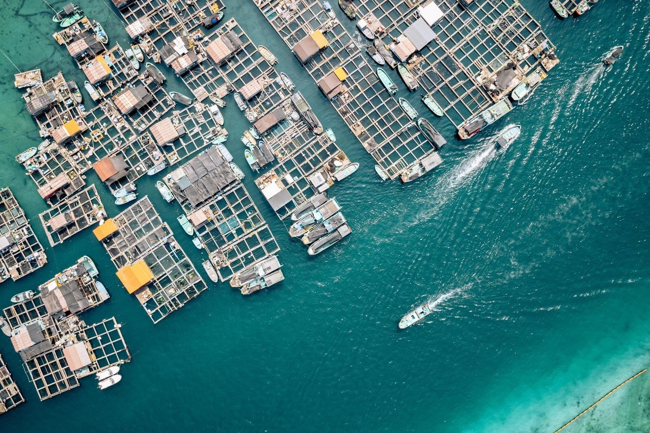 Tanka sampans are seen from above in Lingshui, Hainan Province. /Photo provided to CGTN