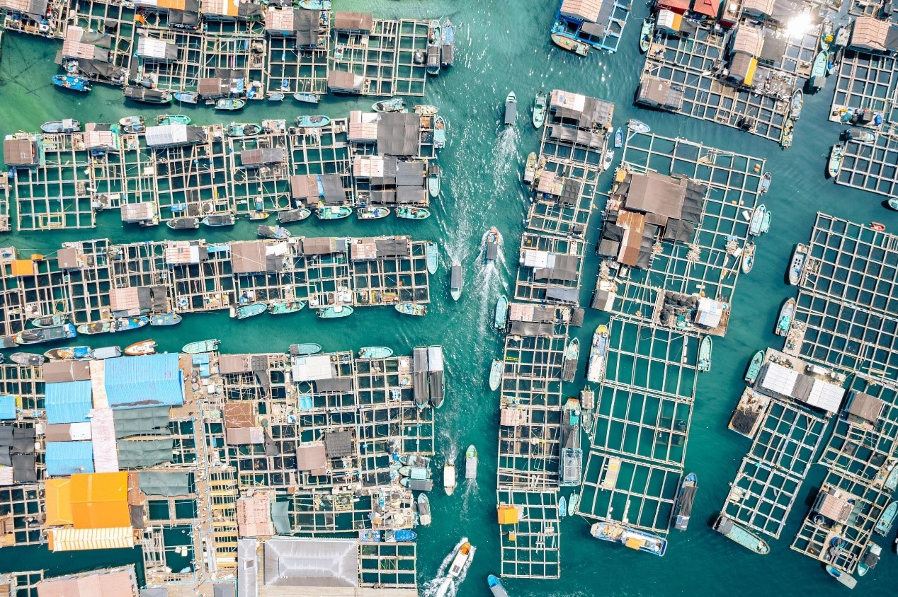 Tanka sampans are seen from above in Lingshui, Hainan Province. /Photo provided to CGTN