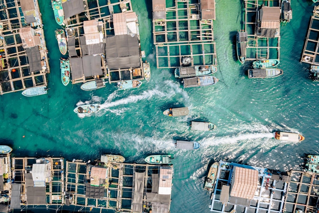Tanka sampans are seen from above in Lingshui, Hainan Province. /Photo provided to CGTN