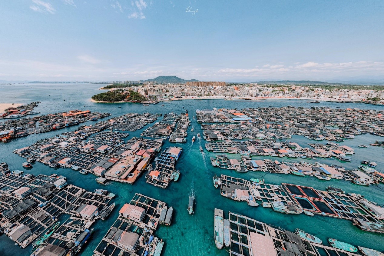 Tanka sampans are seen from above in Lingshui, Hainan Province. /Photo provided to CGTN